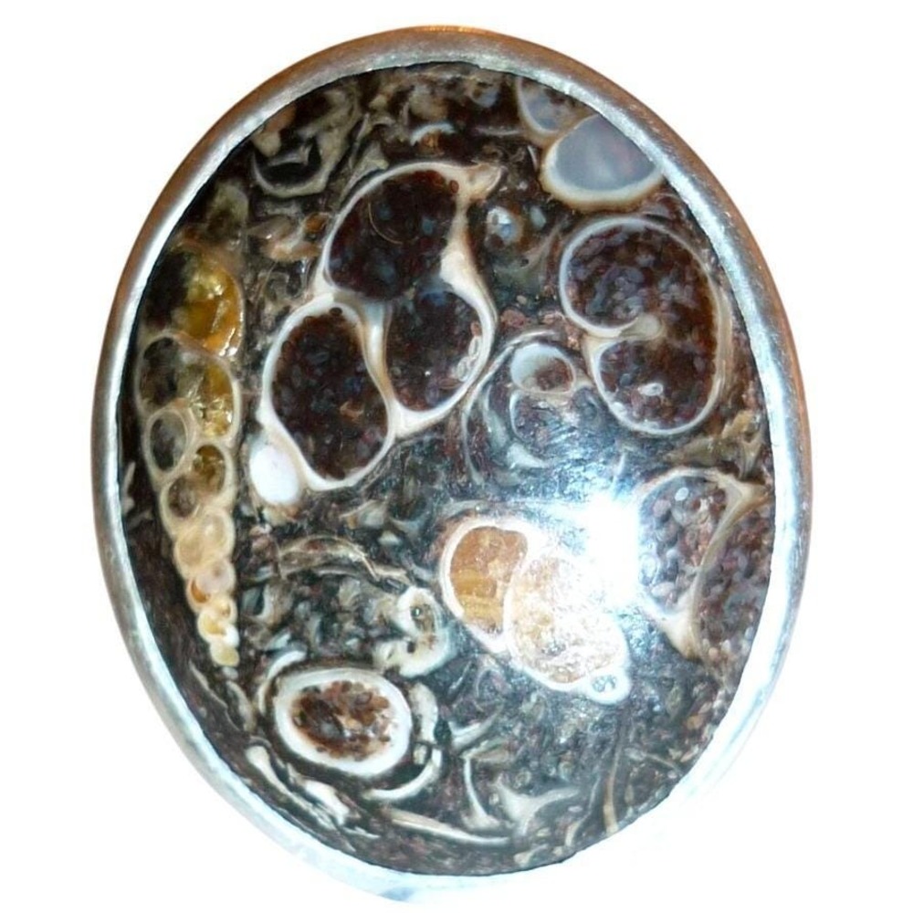 Vintage Turritella Fossil Agate Ring 925 Sterling Silver Statement Size 7.25